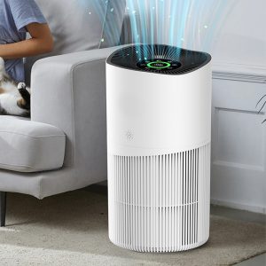 Transportable HEPA Air Air purifier for Dwelling Use – Compact Air Cleaner for Family